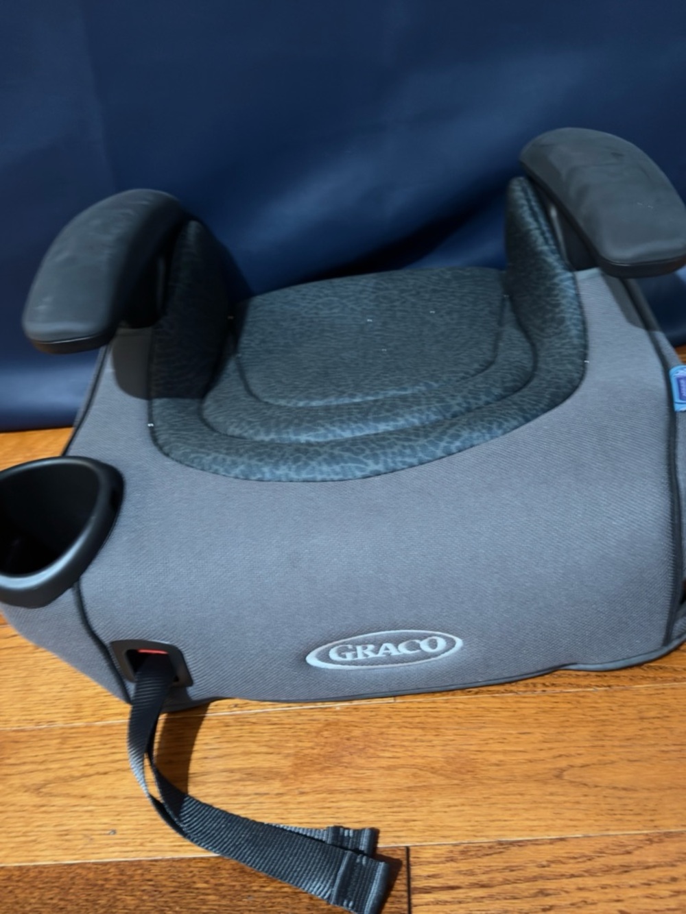 Graco Gray Booster Car Seat